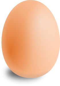 egg, oval, food-157224.jpg